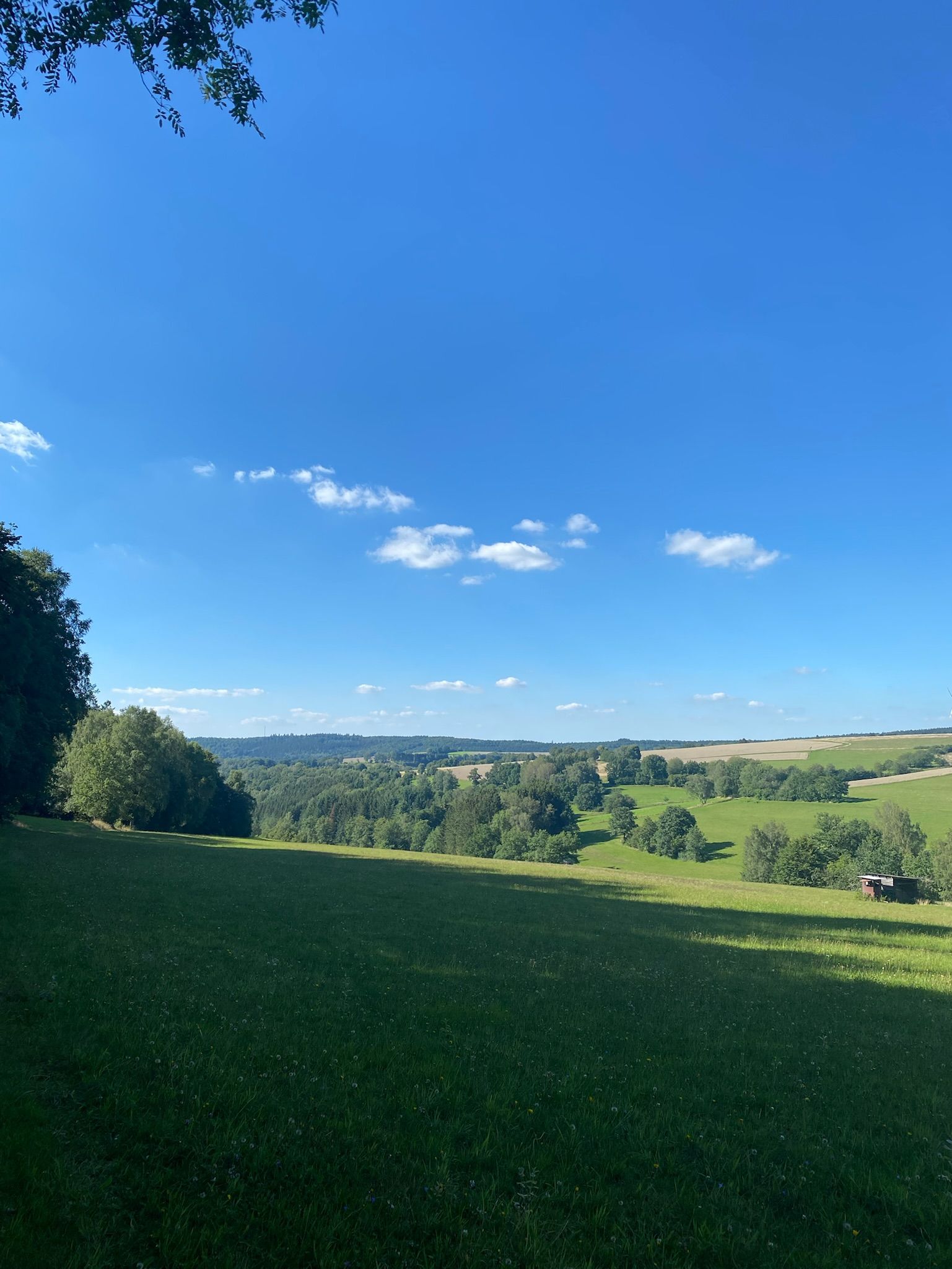 Foto 4 aus 2023